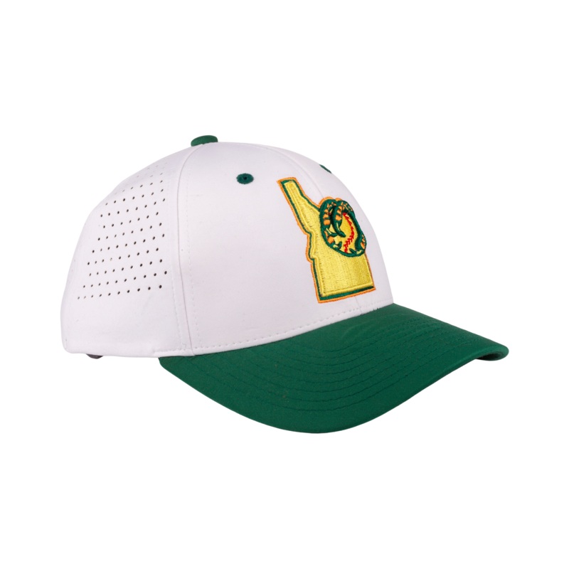 BOISE HAWKS ADVENT FLEX FIT HAT