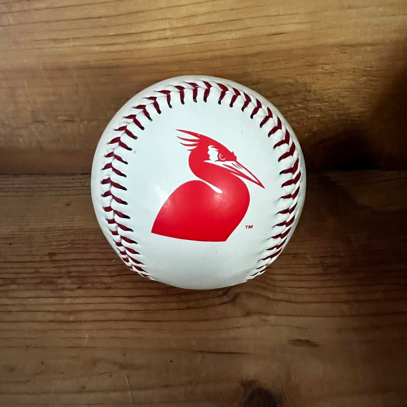 Delmarva Shorebirds Glow Novelty Baseball