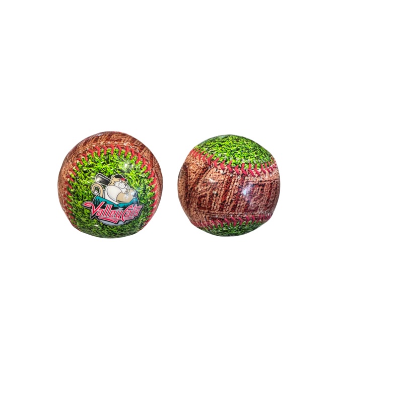 ValleyCats Dirt Baseball